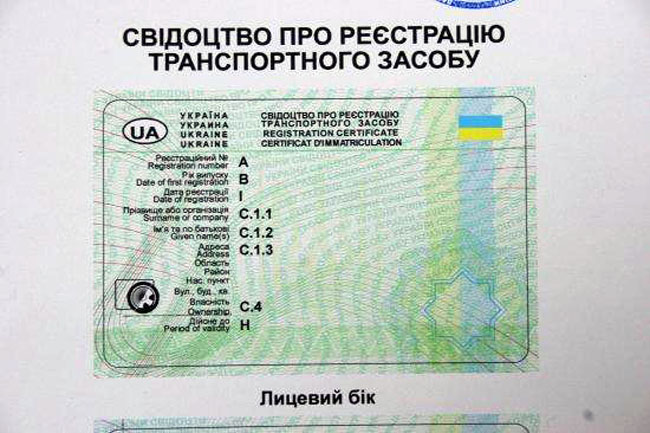 Наращивание ресниц бесплатный урок приглашение смотреть Можно ли построить каркасный дом своими руками: технология