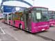 Югославские автобусы IkarBus (не путать с Ikarus) планируется собирать в Тушино. На фото – «гармошка» IK 218 N. Мест: сид. – 43, всего – 160. Дизель – MAN, 310 л. с.