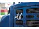 Арабская надпись на радиаторе, смахивающая на подкову, имеет и похожий смысл: «Да хранит меня Аллах!»