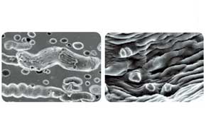 Модернизированная резиновая смесь с более крупными микропорами поглощает еще больше влаги из пятна контакта. В ней увеличено количество абразивных микрочастиц, помогающих шине цепляться за лед.