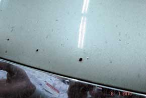 У Cerato ржавеет крышка багажника в местах крепления штатного антикрыла, а также капот после «бомбардировки» камнями. 