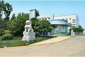 Снаружи предприятие, расположенное недалеко от города Ченду, мало чем отличается от заводов других автомобильных компаний. Въезд на его территорию украшают большие статуи львов, а на гранитном фронтоне нанесено полное название – Chengdu Gaoyuan Automobile Industry Co. Ltd.