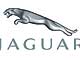 До 1956 года на решетке Jaguar была лишь морда этого животного; потом ее сменил ягуар в прыжке.