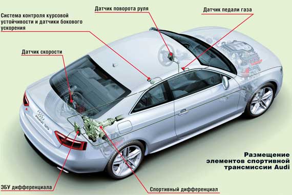 Размещение элементов спортивной трансмиссии Audi 