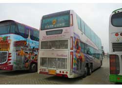 MS Bus