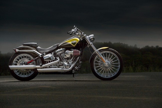 Юбилейные модели Harley-Davidson