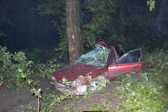 В ДТП на Черкасчине столкновение с деревом привело к гибели водителя