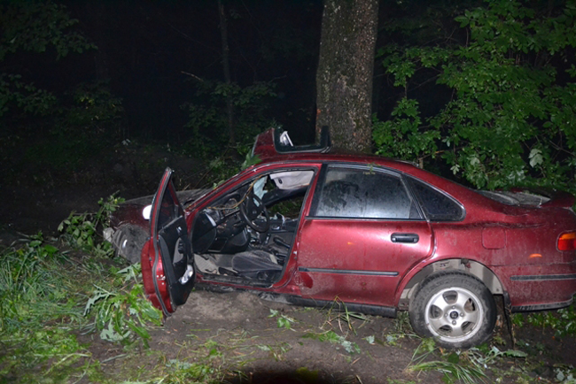 В ДТП на Черкасчине столкновение с деревом привело к гибели водителя