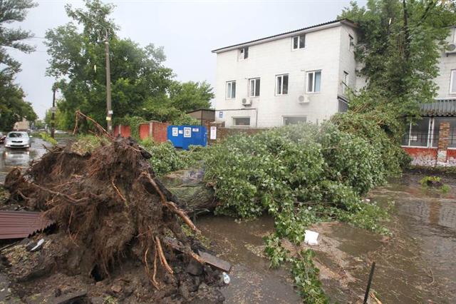 На Киев обрушился ураган 